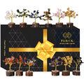 12pcs Crystal Tree of Life Set – Mini 7 Chakra Gemstone Trees